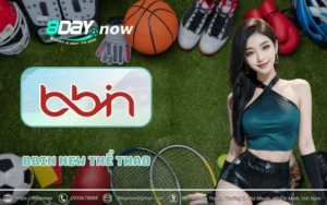 BBIN Sports - Cổng cược thể thao đẳng cấp quốc tế